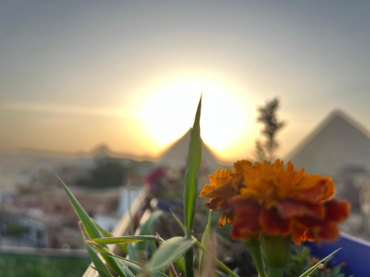 Pyramids Top Success Result Kafret el-Gabal المظهر الخارجي الصورة