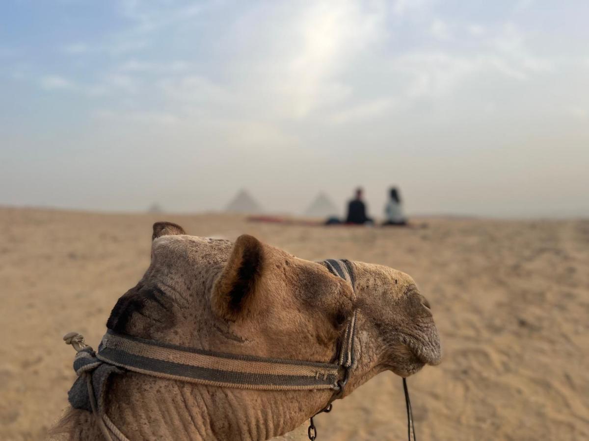 Pyramids Top Success Result Kafret el-Gabal المظهر الخارجي الصورة